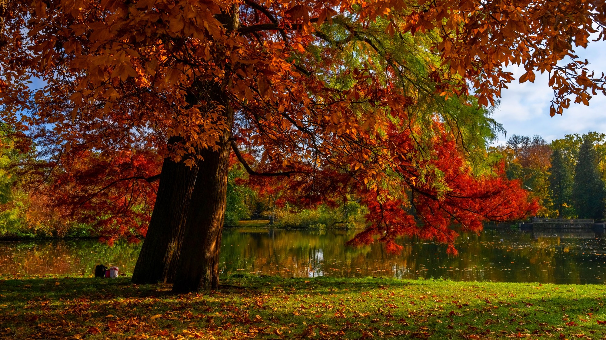 Piękny listopad - zdjęcie 34