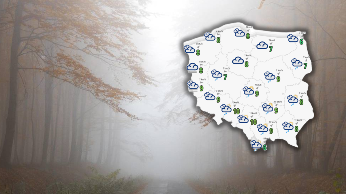 Deszczowo i mgliście. Ostrzeżenia dla połowy Polski