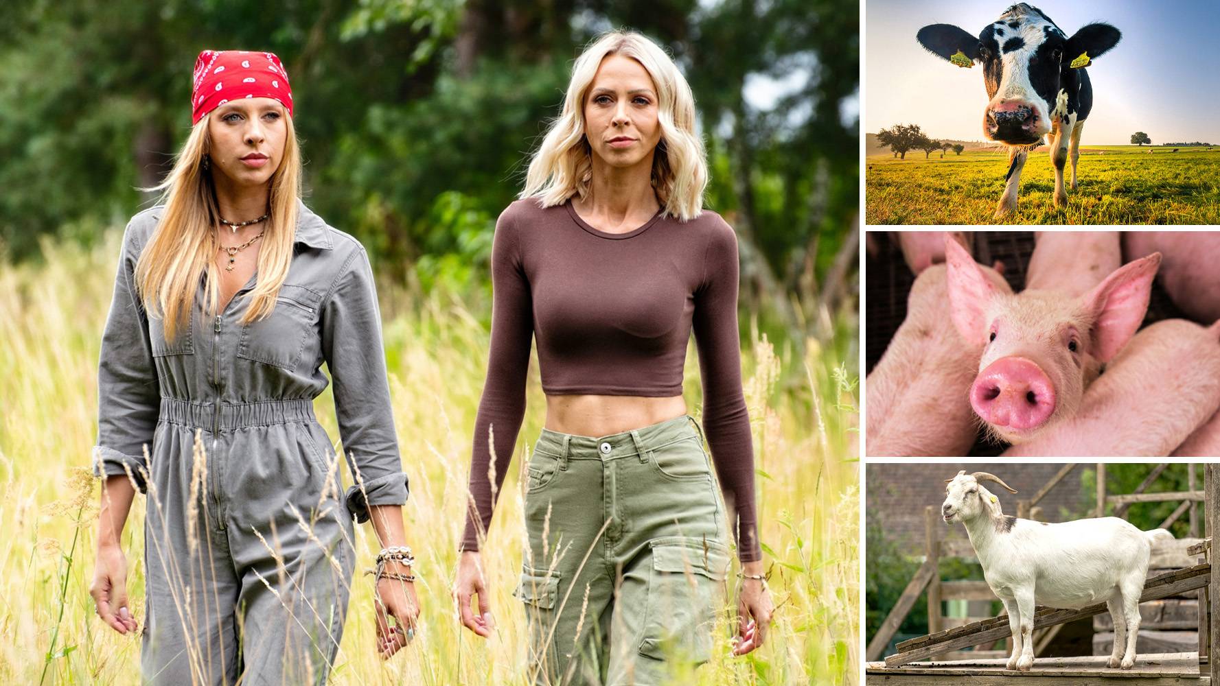 Farma: Mocne słowa na temat 5. sezonu. Prawdziwa orka - Polsat.pl