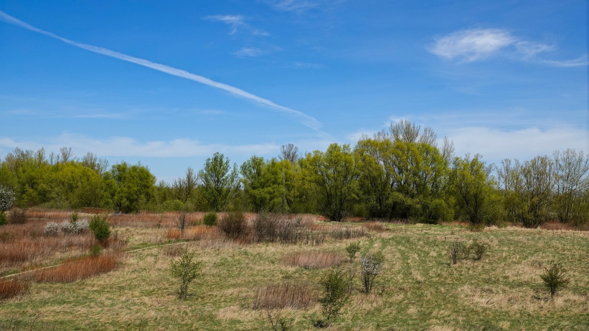 Kwiecień w obiektywie - zdjęcie 58
