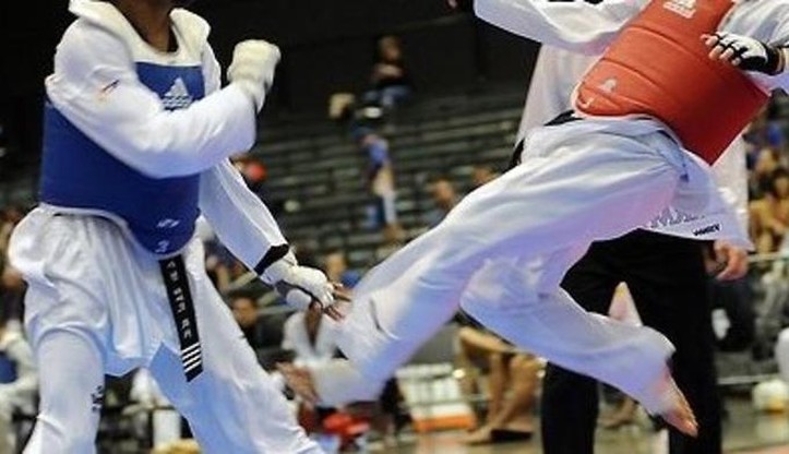 MP w taekwondo:Medaliści mistrzostw świata wystąpią w Rybniku