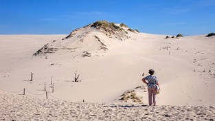 08.06.2021 06:30 Polska Sahara nad Bałtykiem z prawdziwymi ruchomymi wydmami. Zobacz, jak tam jest pięknie