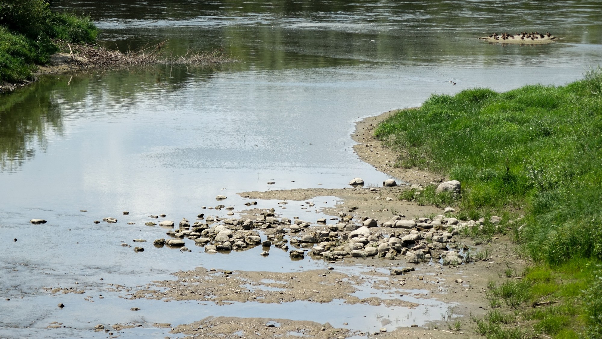 Lipiec w obiektywie - zdjęcie 49