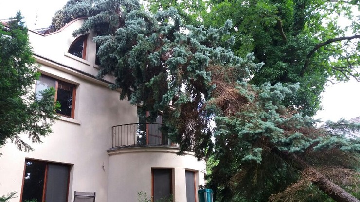 Po burzy w podwarszawskim Milanówku. Drzewo przewróciło się na dom