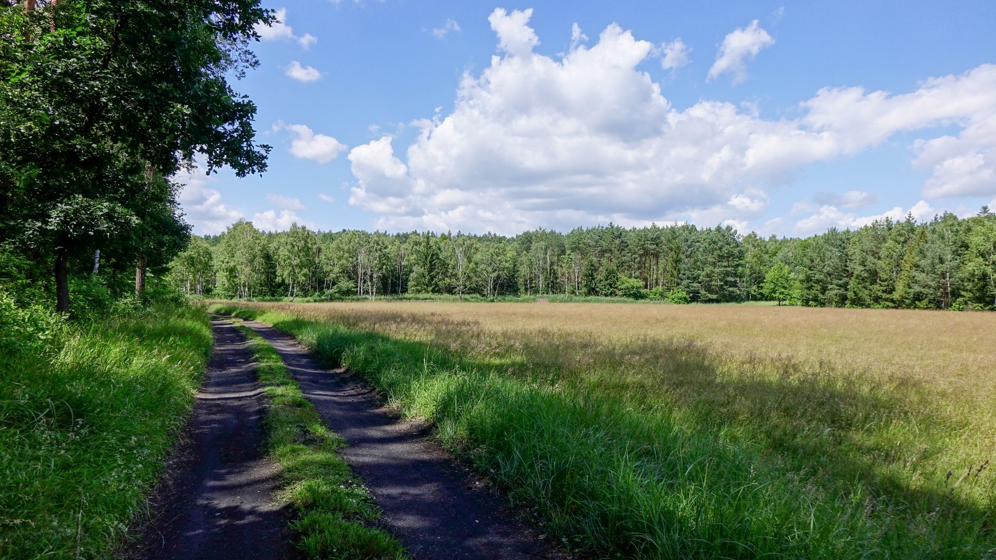 Wakacje minionych lat - zdjęcie 5