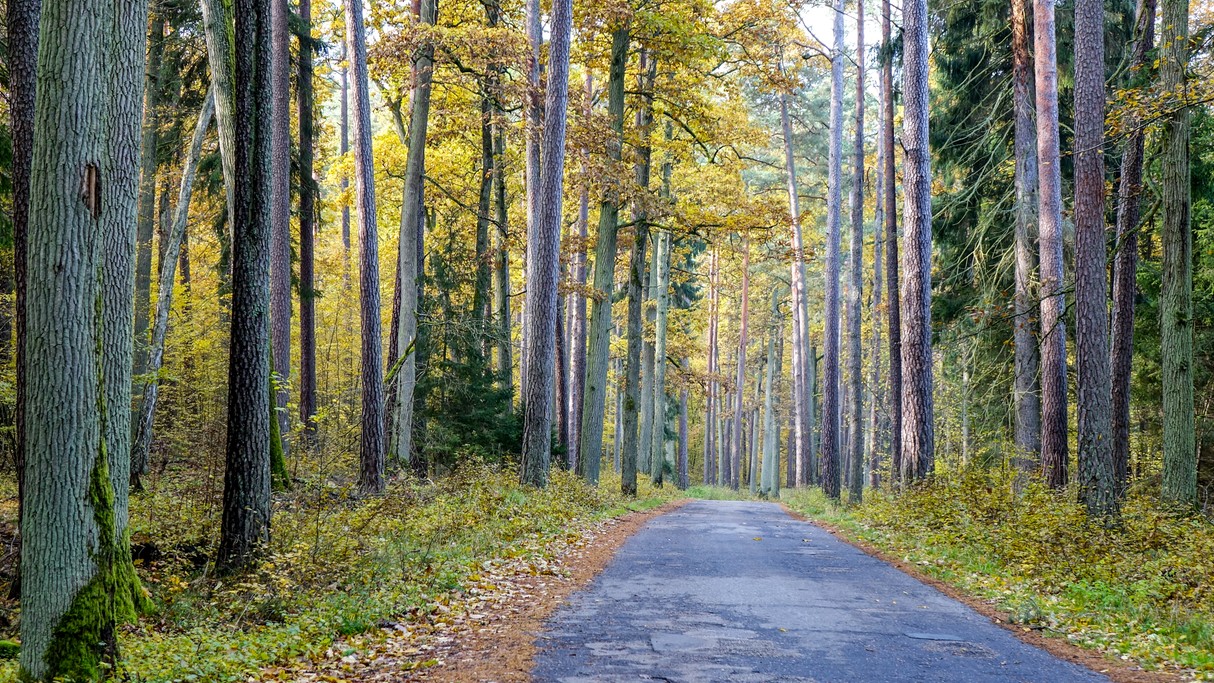 Zakochaj się w Polsce - zdjęcie 20