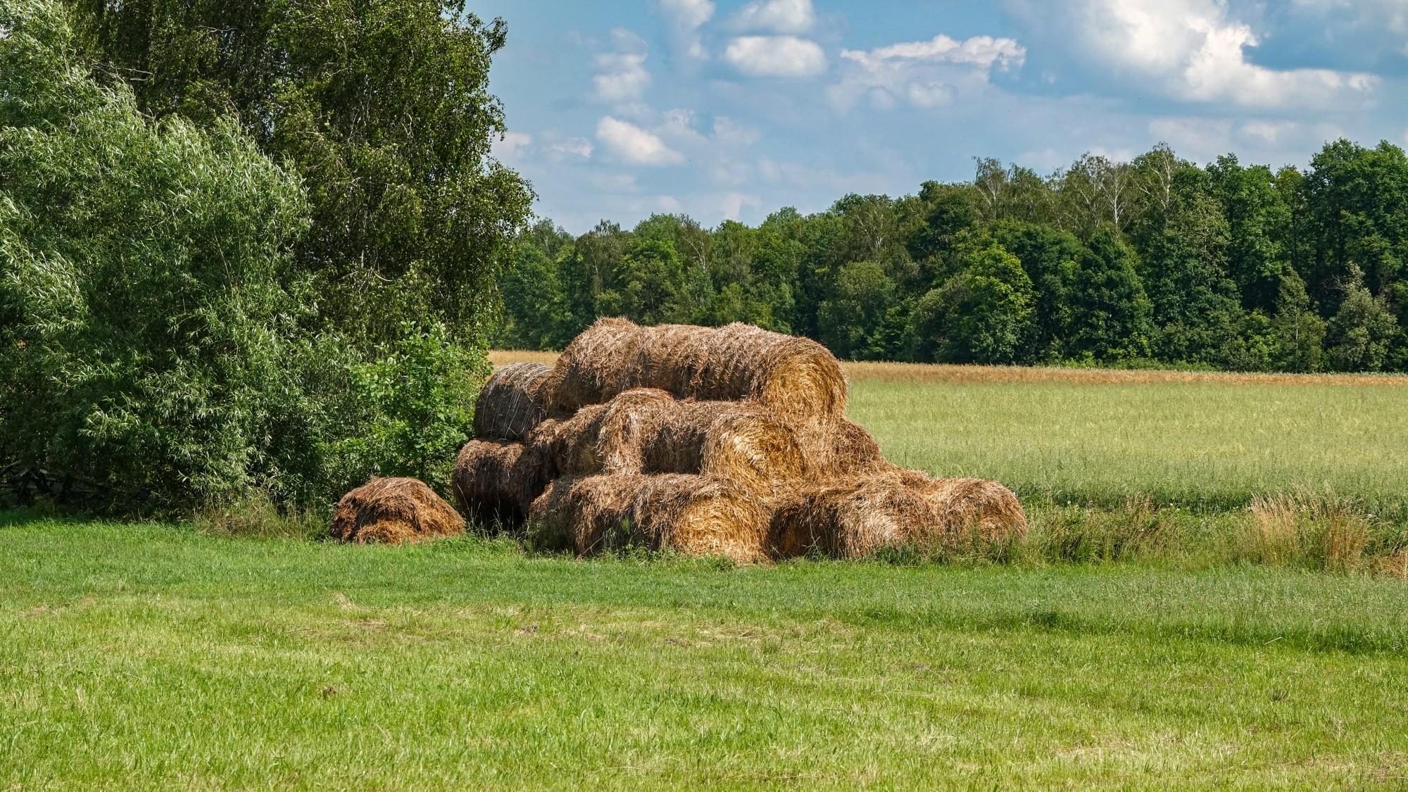 Środek lata w plenerze - zdjęcie 27