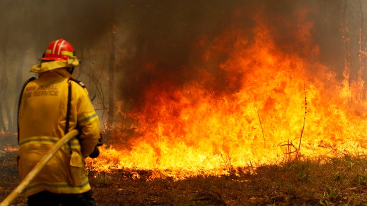 Pożary lasów i buszu w Australii. Dwie ofiary śmiertelne