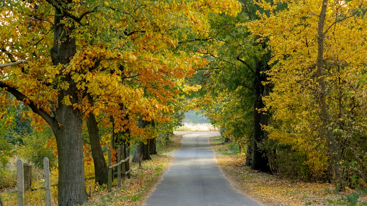 Jesienne klimaty - zdjęcie 23