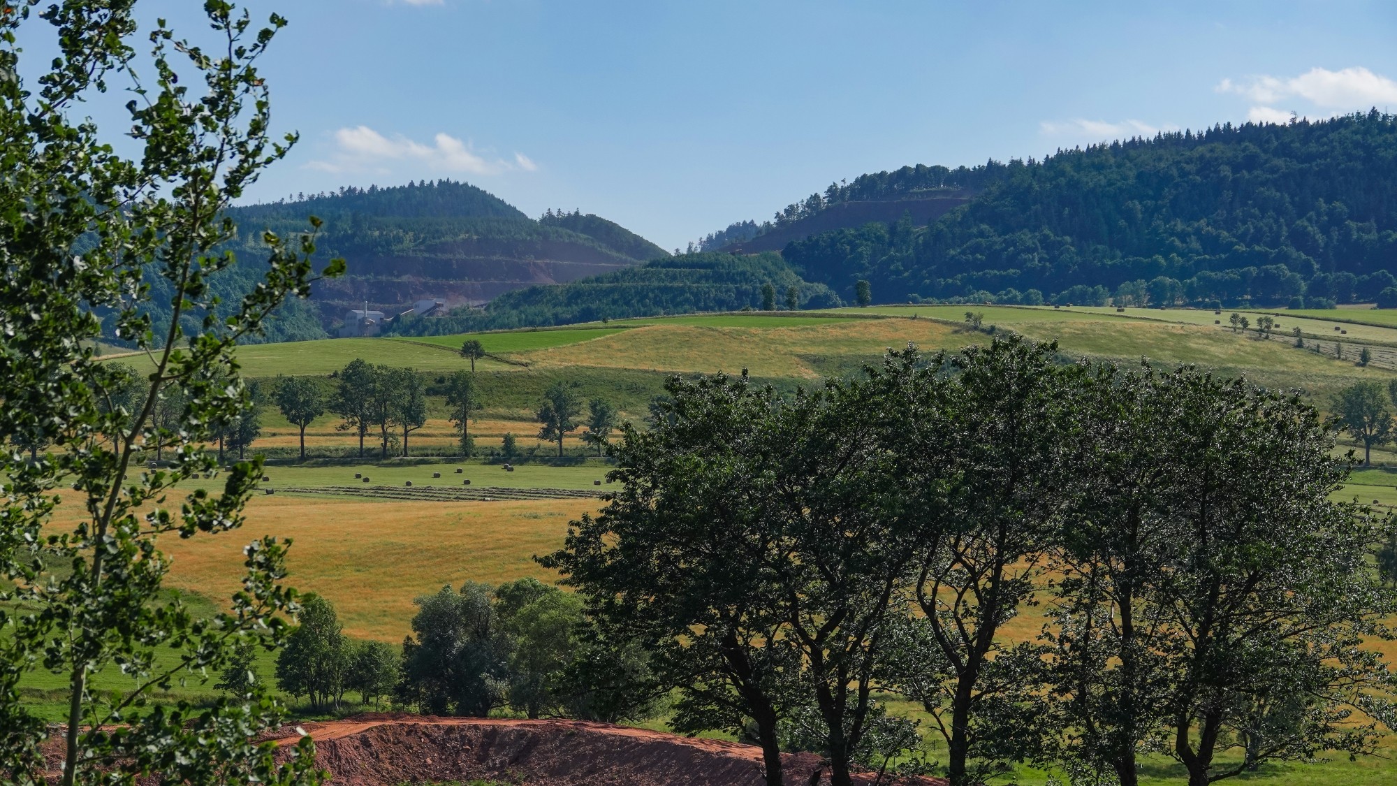 Góry Sowie, Suche i Kamienne - zdjęcie 17