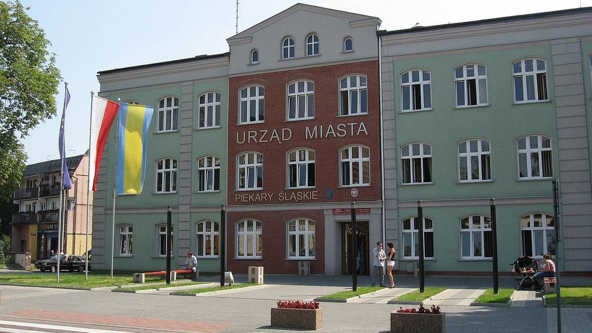 Plaga much w Piekarach Śląskich. Wchodzą do mieszkań, zatruwają życie