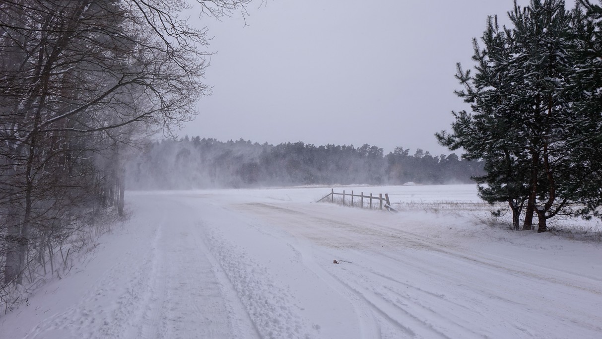 Marzec w obiektywie - zdjęcie 29