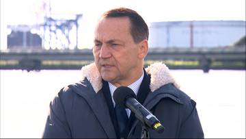 Flotylla zatrzymana przez Izrael. Sikorski stanowczo: Powiem brutalnie