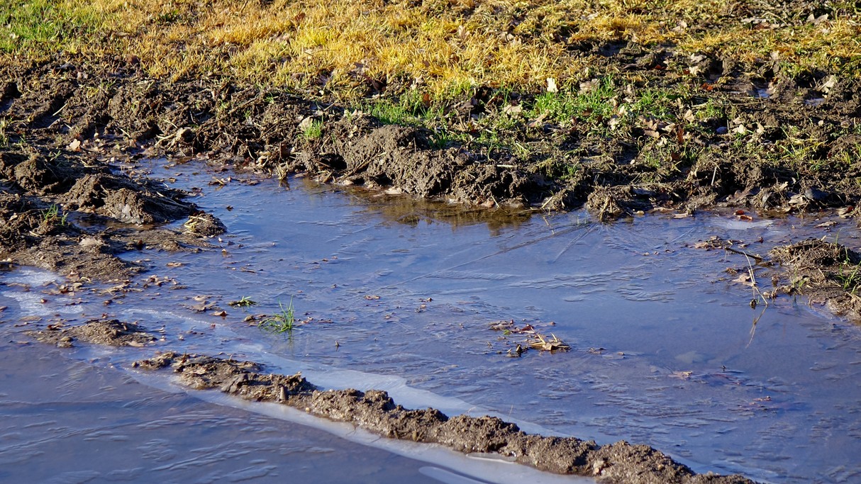 Grudzień w obiektywie - zdjęcie 20