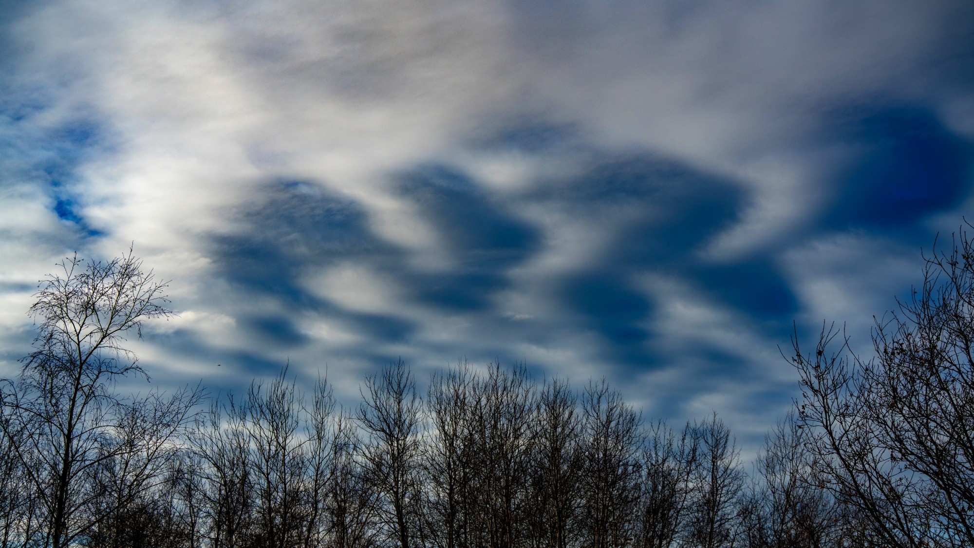 Różne oblicza zimy - zdjęcie 7