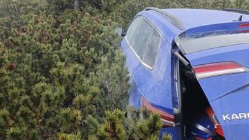 Skradzione auto ukryte wysoko w górach. Złodzieje zaparkowali w kosodrzewinie