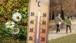 24.03.2021 11:00 Nadchodzi prawdziwa wiosna. Bezchmurne niebo i nawet powyżej 20 stopni w cieniu. Kiedy?