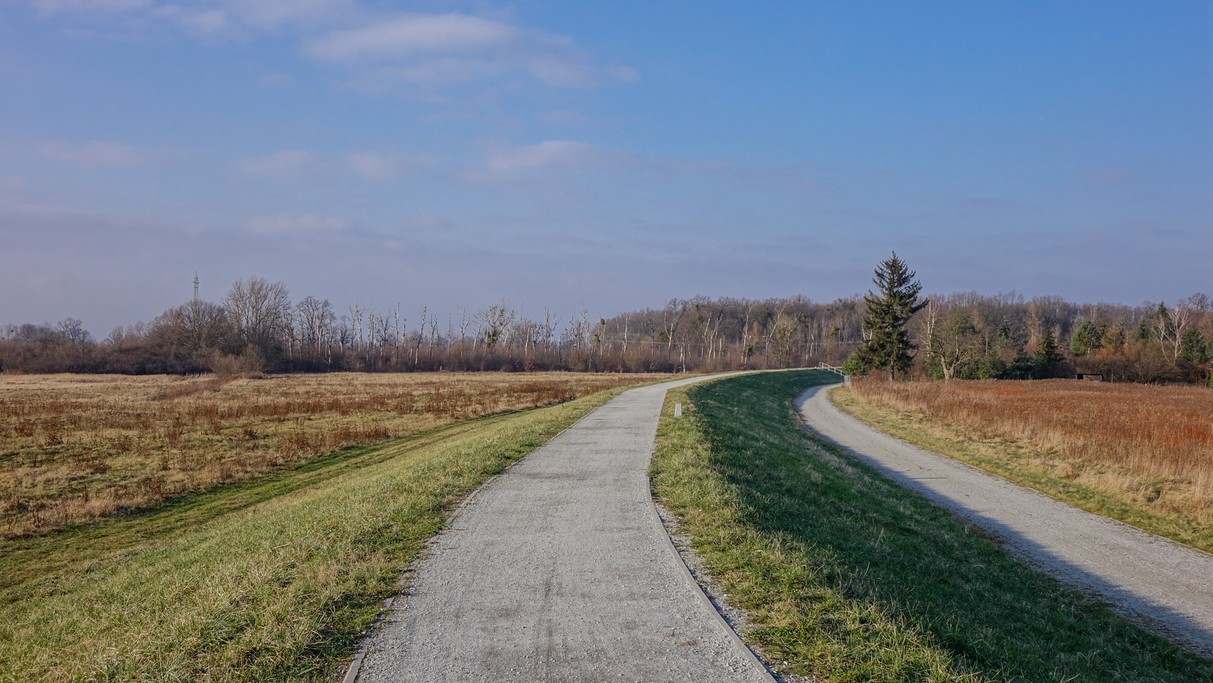 Styczeń w obiektywie - zdjęcie 26