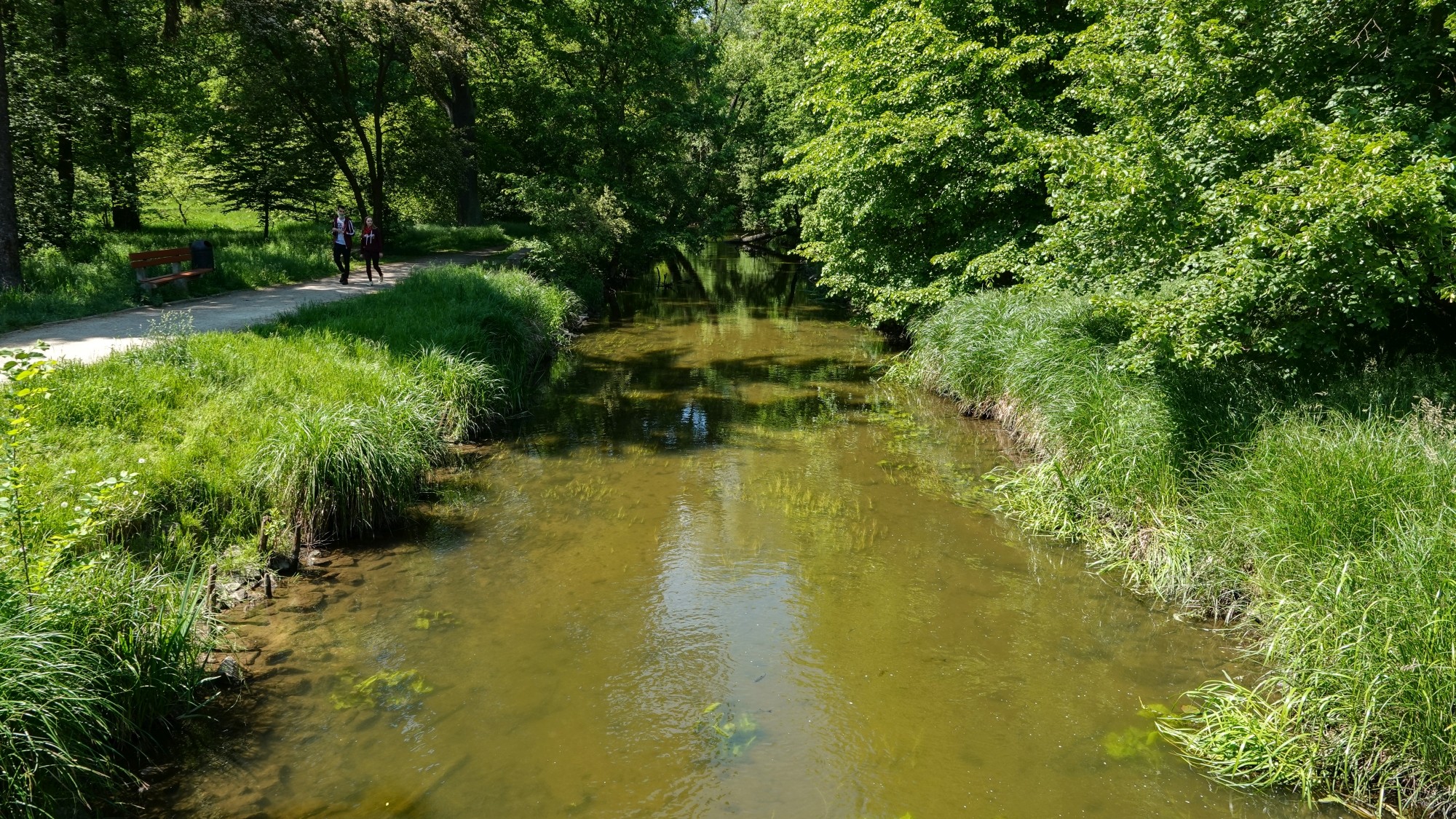 Wypoczynek nad wodą - zdjęcie 50