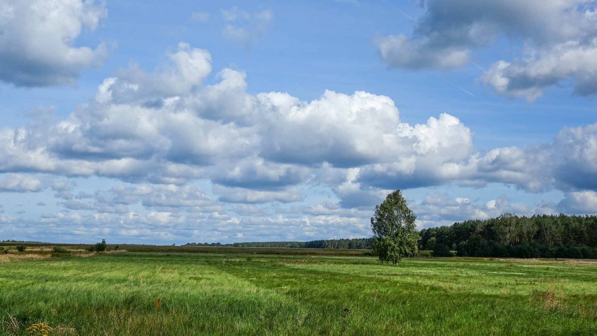 Wrzesień w obiektywie - zdjęcie 18