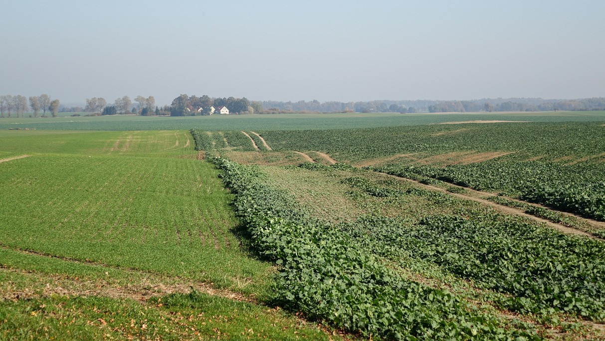 Październik w obiektywie - zdjęcie 55