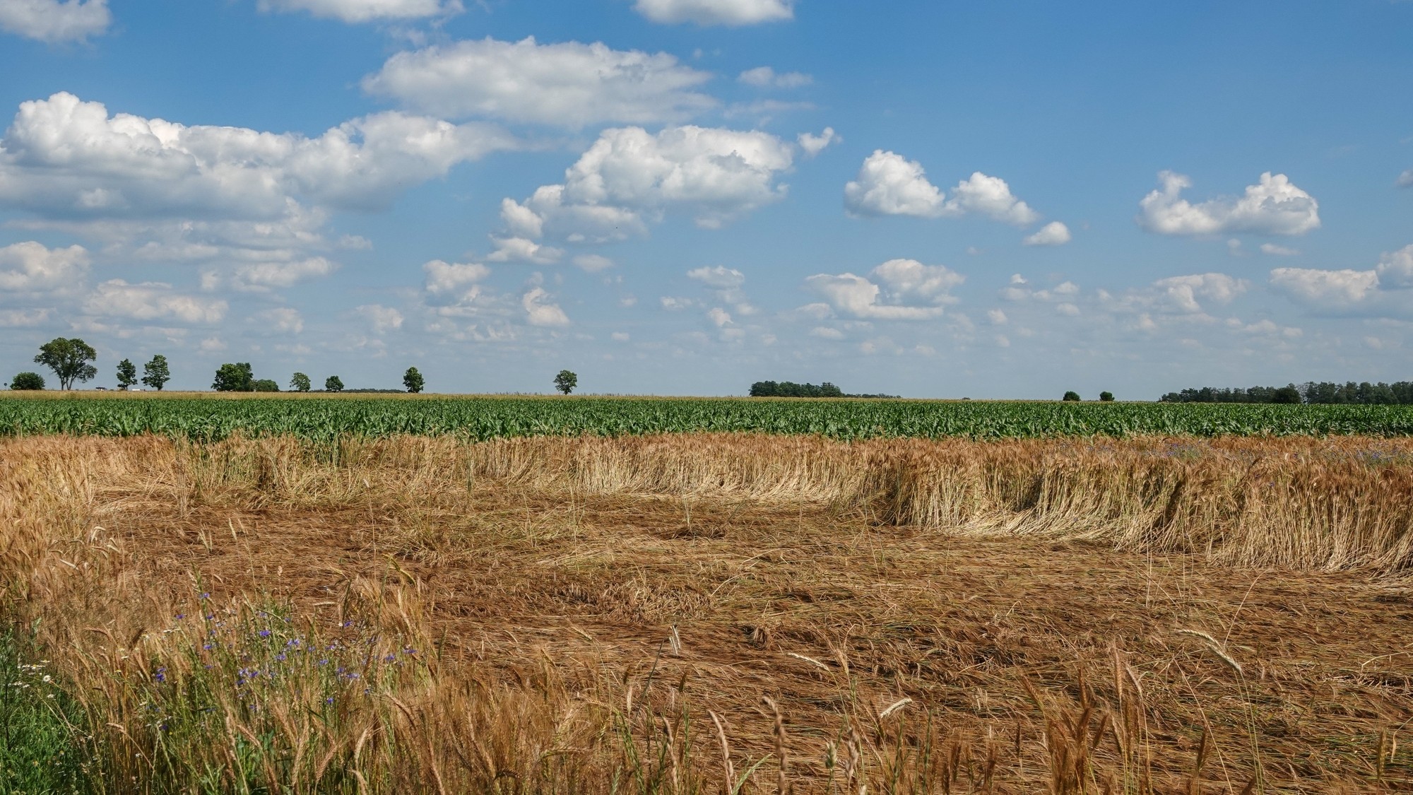 Podróż przez polską prowincję - zdjęcie 35
