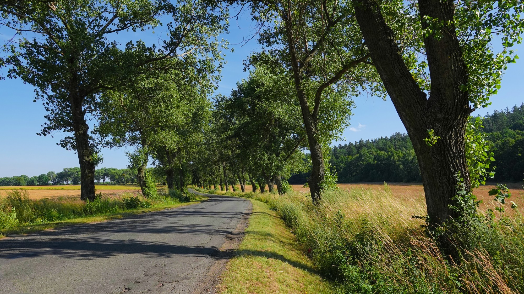100 najpiękniejszych zdjęć 2021 roku - zdjęcie 60