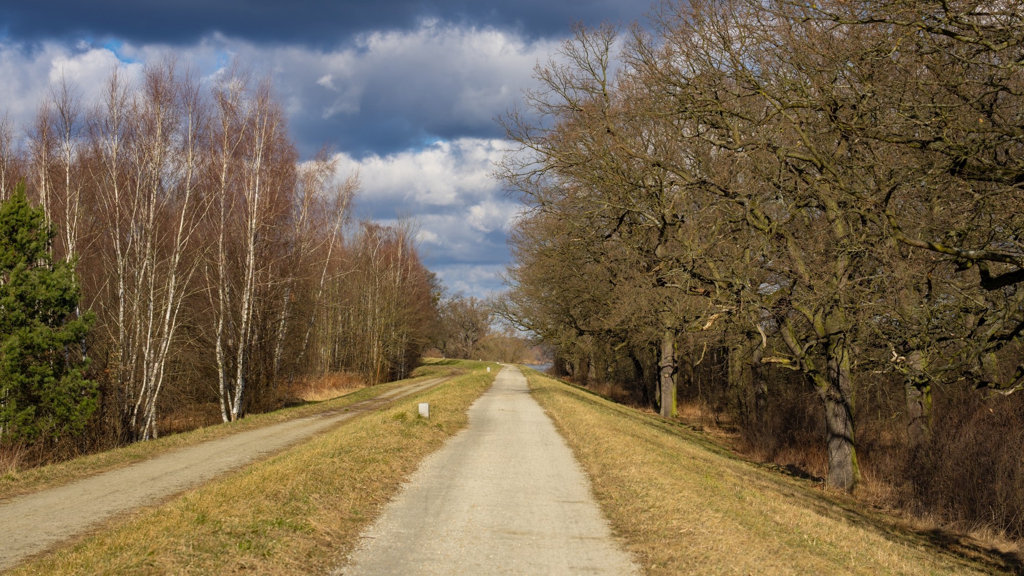 Wiosna coraz bliżej - zdjęcie 33