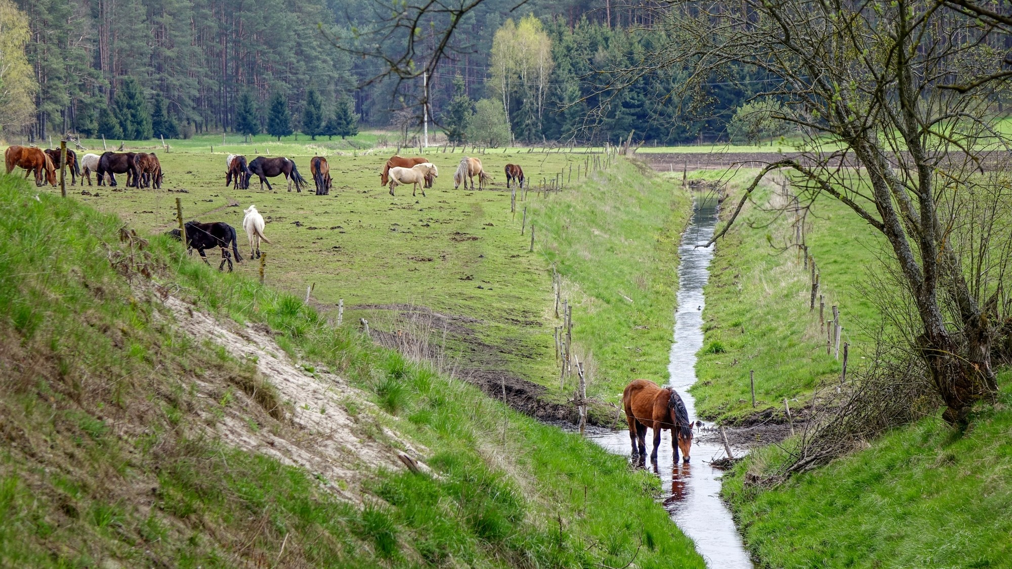 Odkryj piękno Polski w wakacje - zdjęcie 100