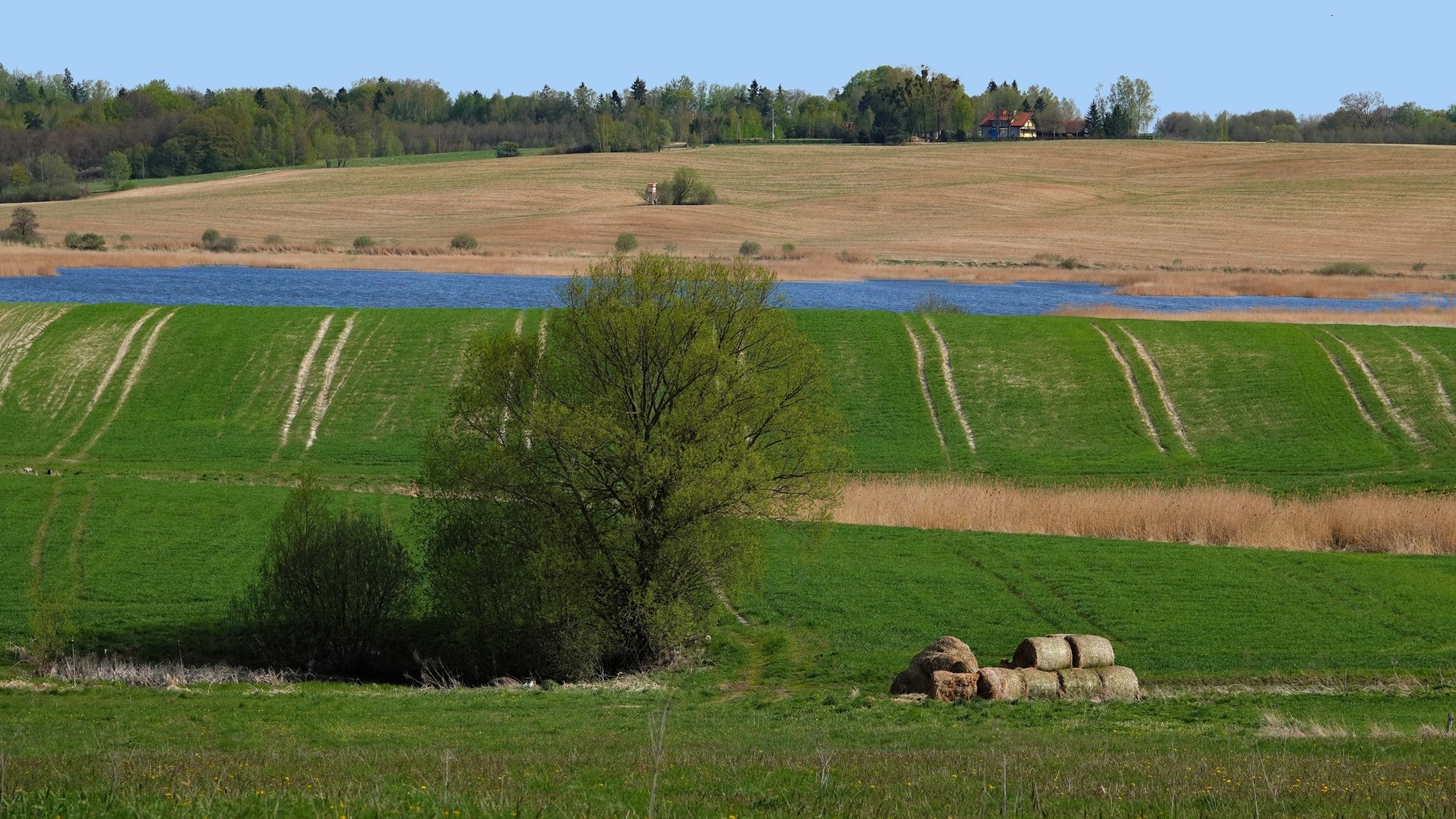 W maju jak w raju - zdjęcie 37