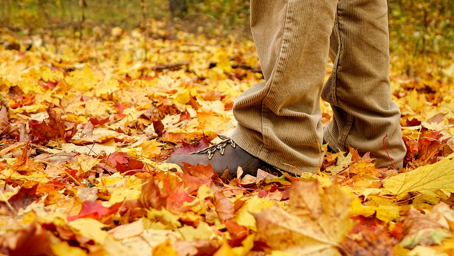 28.10.2018 11:00 Prognoza 16-dniowa: Jaka pogoda będzie w pierwszej połowie listopada?