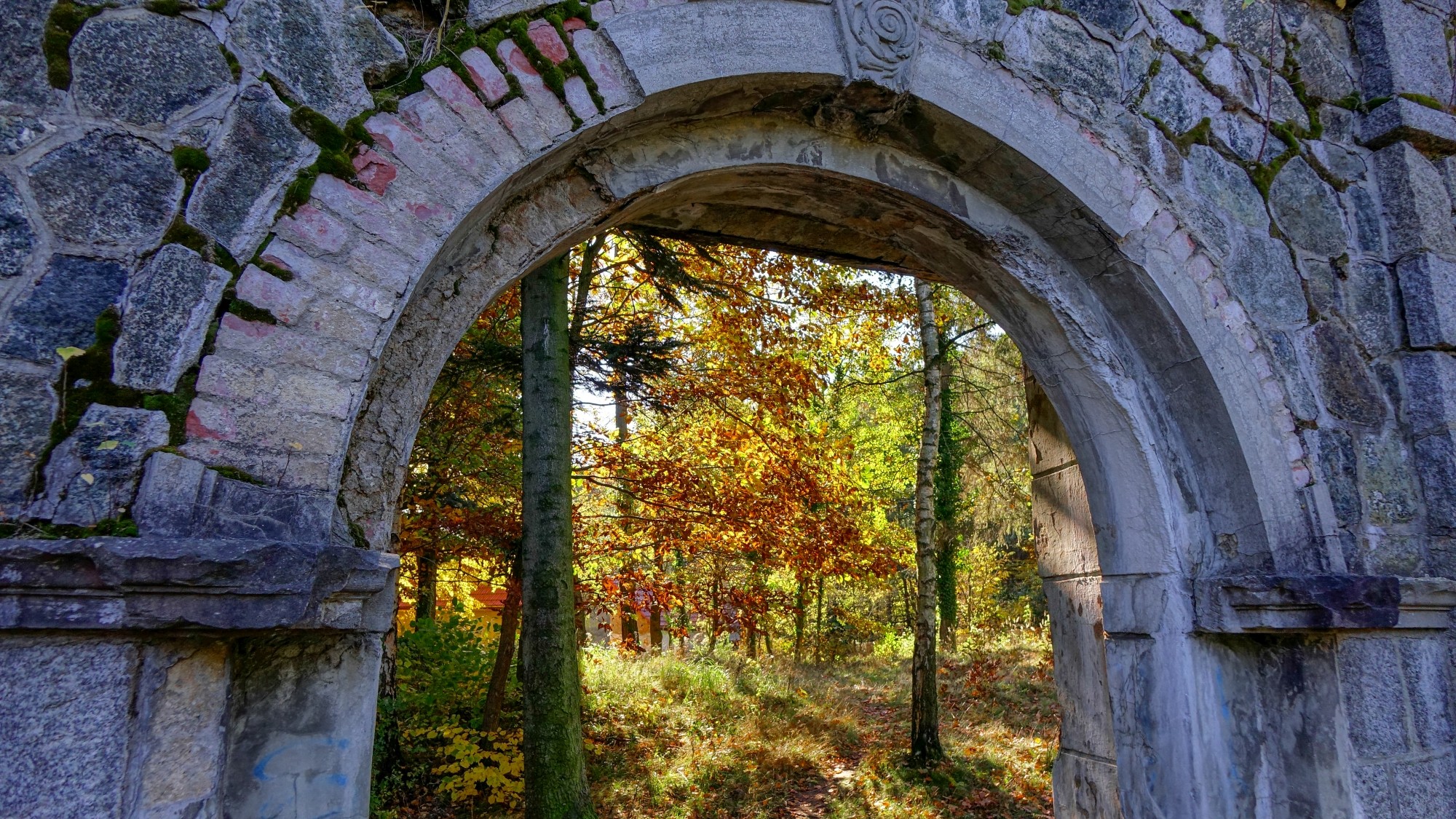Jesień w górach, lasach i nad jeziorami - zdjęcie 6