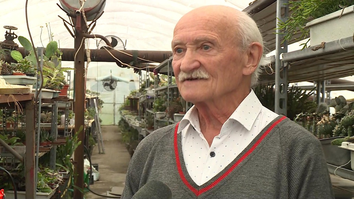 Wybrał studia zamiast emerytury. 75-latek obronił doktorat o kaktusach