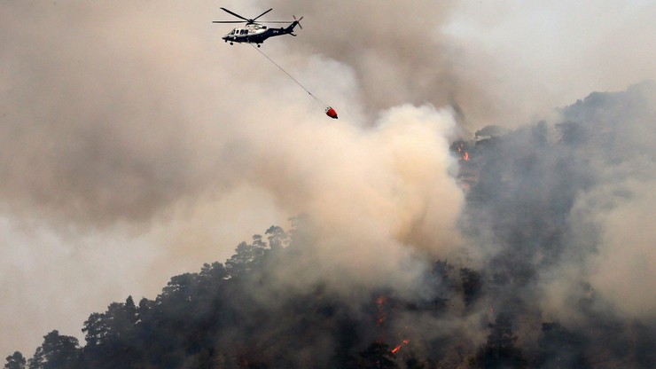 Płonie las na Cyprze! Dwóch strażaków nie żyje! Kraj błaga o samoloty gaśnicze!