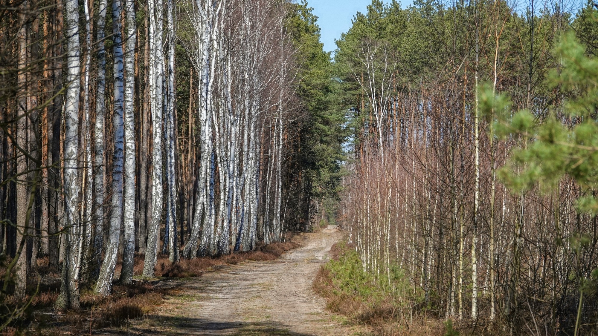 Marzec w obiektywie - zdjęcie 31
