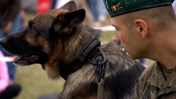 Test umiejętności, ducha i serca. Za nami wyjątkowy bieg Dogmagedon K9