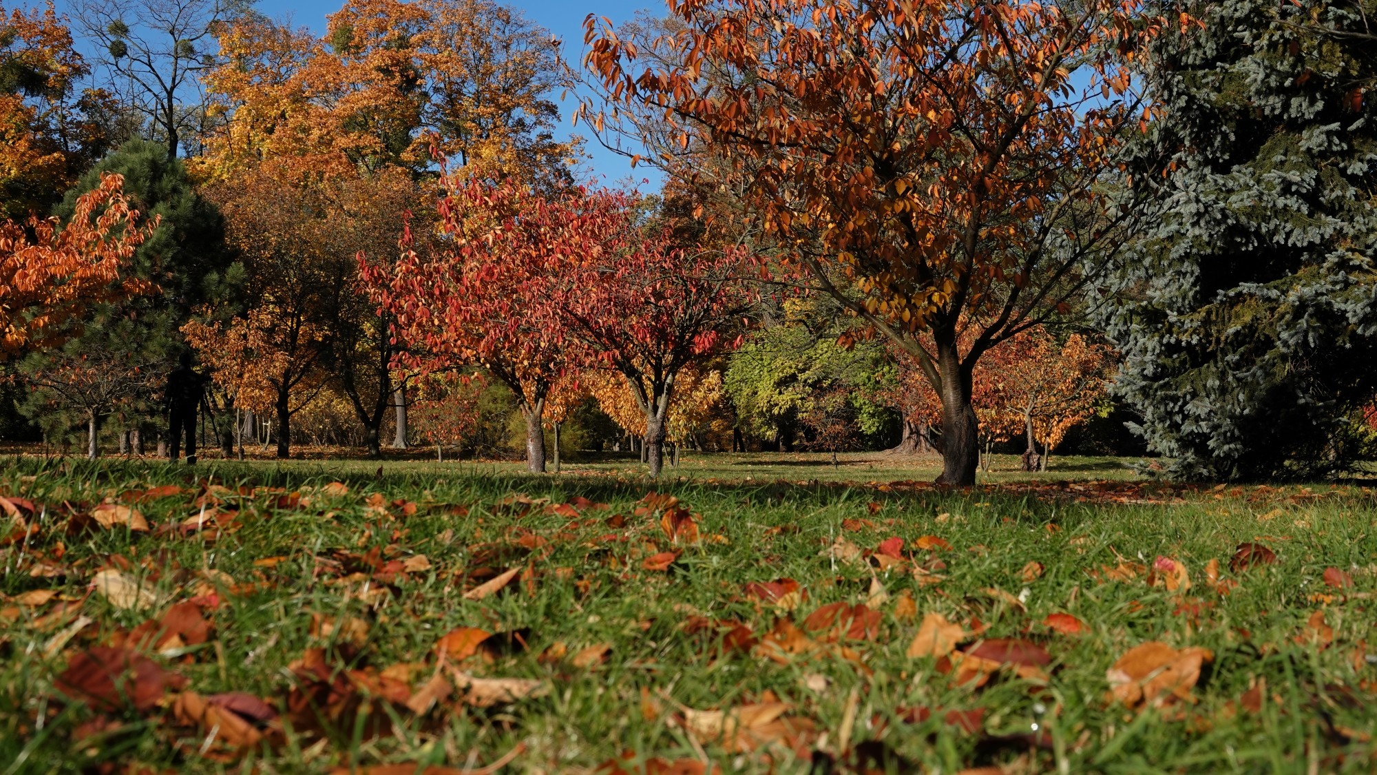 Jesienne klimaty - zdjęcie 4