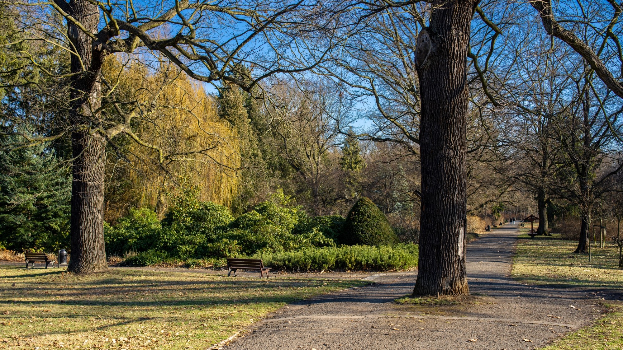 Wiosna coraz bliżej - zdjęcie 6