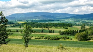 07.07.2021 12:00 Czy może być coś piękniejszego niż letnie plenery na polskiej wsi? Zobacz i zafunduj sobie chwilę relaksu