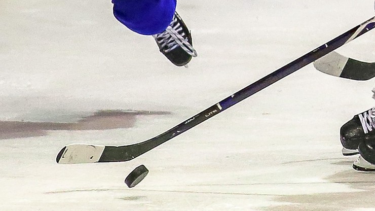 NHL: Skuteczny pościg "Rekinów" za "Złotymi Rycerzami"