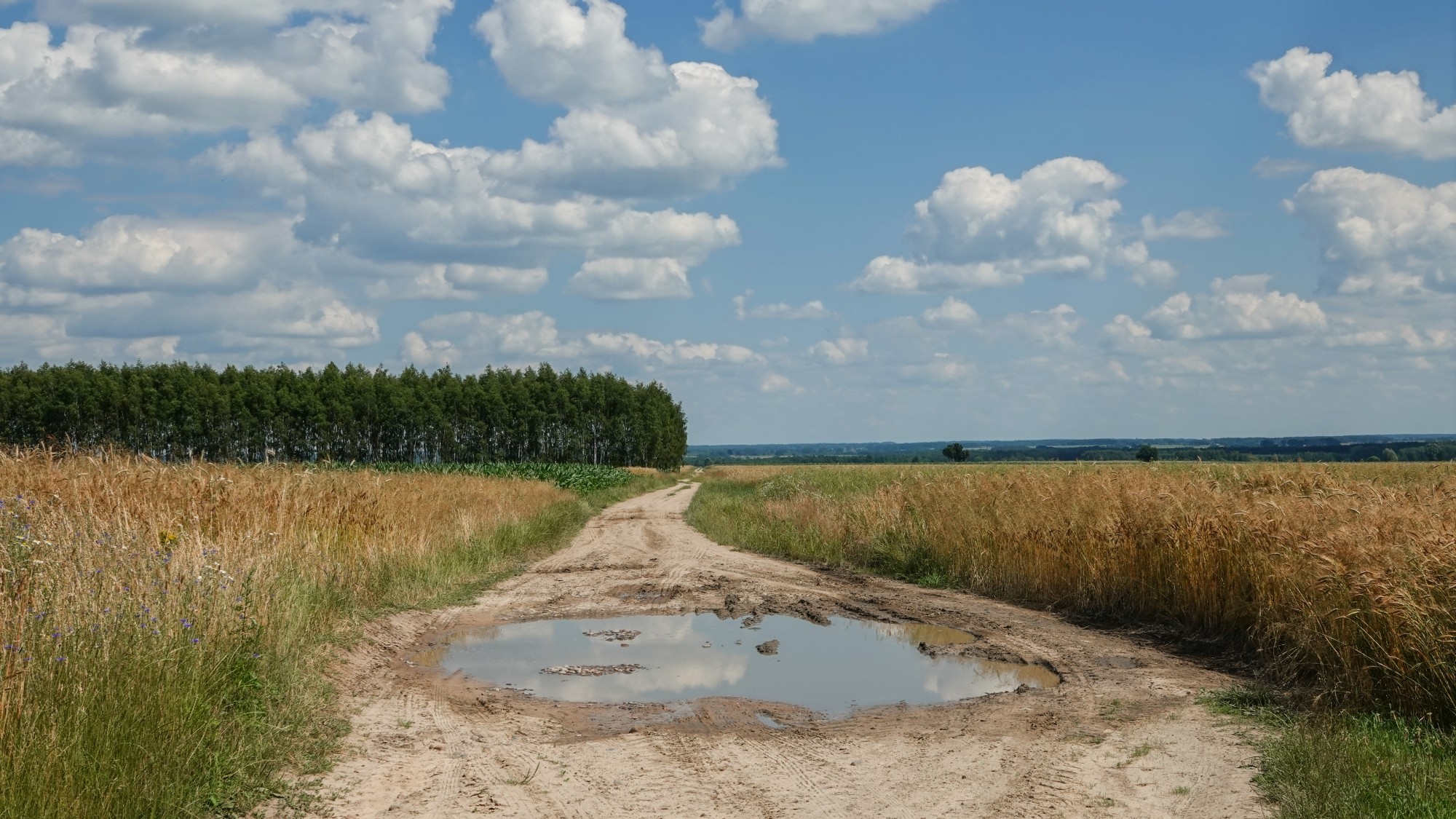 Środek lata w plenerze - zdjęcie 19