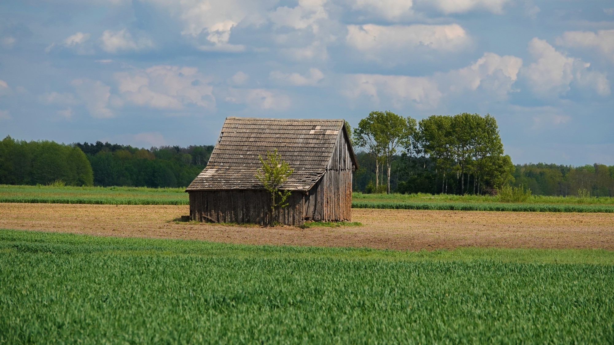 Kochamy Polskę - zdjęcie 34