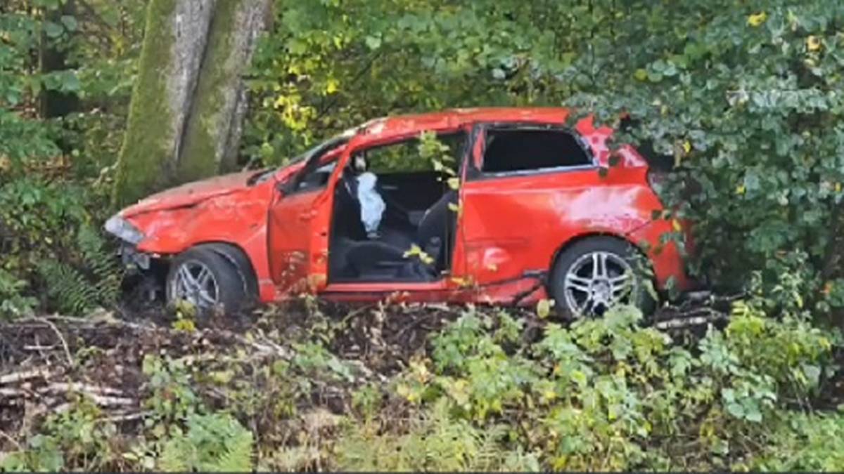 Pościg jak z filmów akcji. Uciekał z policjantem na masce