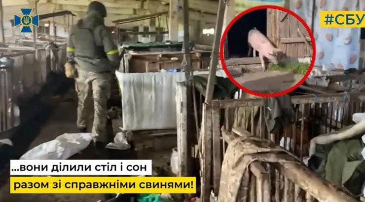 Wojna w Ukrainie. Odkryto kwaterę Rosjan. Żołnierze mieszkali w... chlewie