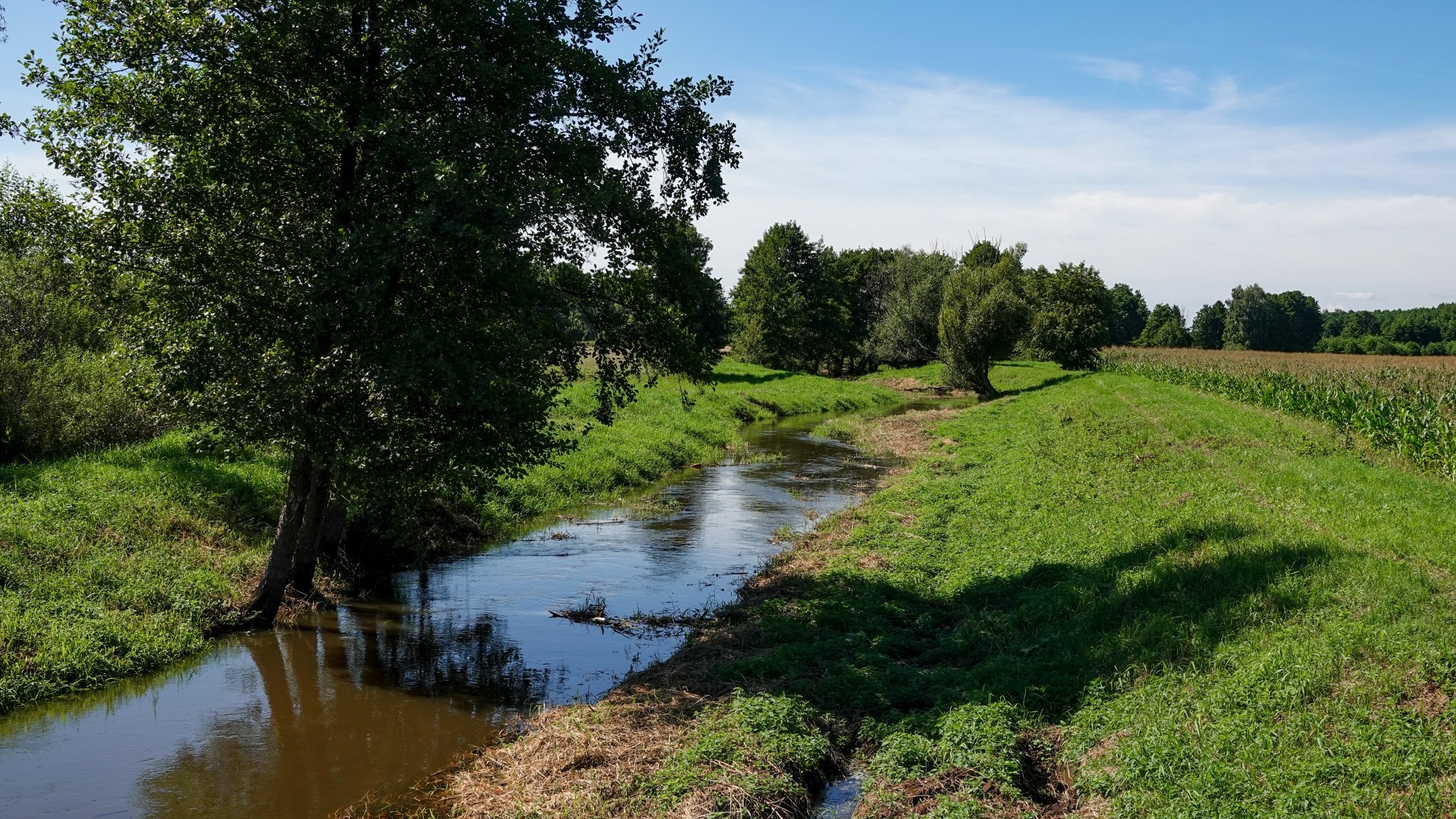 Na pożegnanie lata - zdjęcie 17