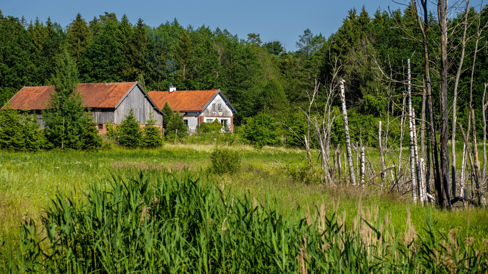Kolory lata - zdjęcie 21