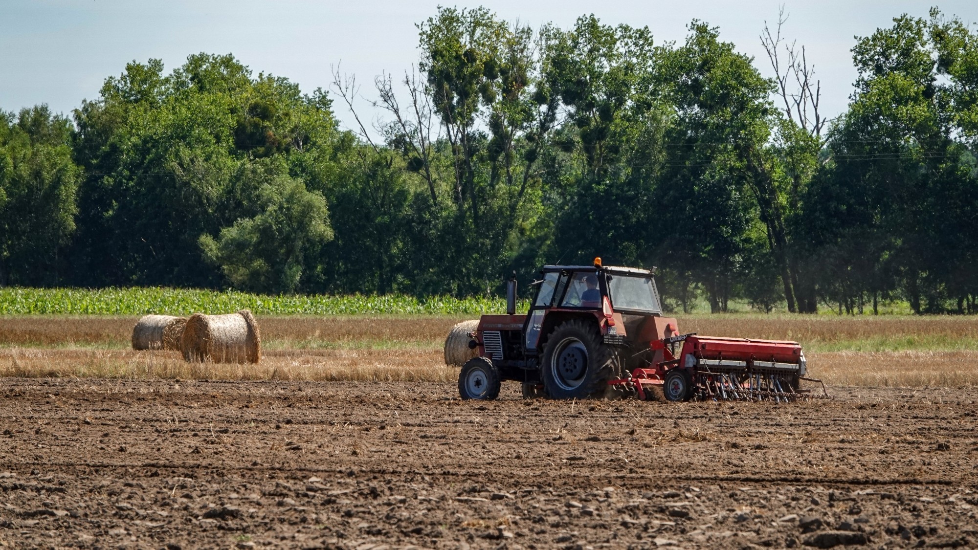 Na pożegnanie lata - zdjęcie 53