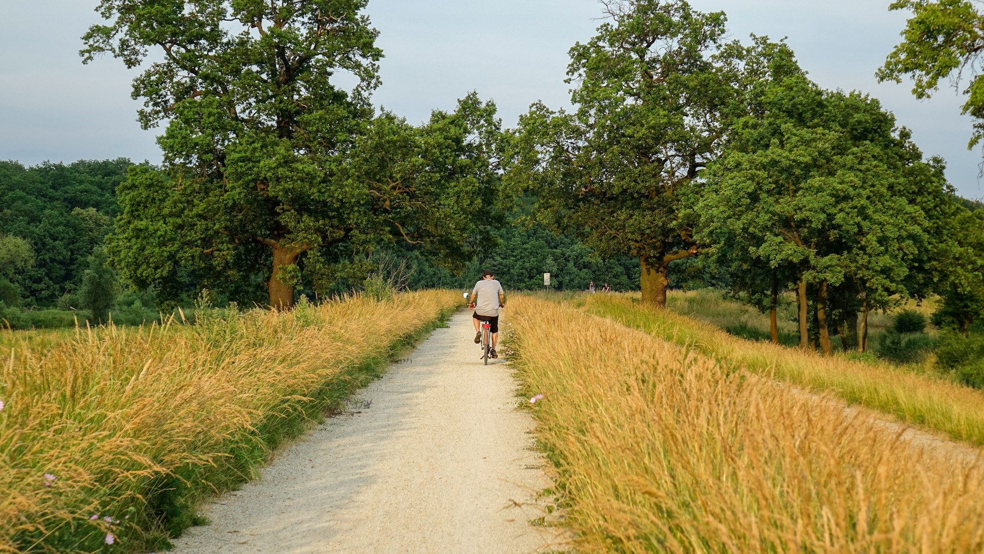 Czerwiec w obiektywie - zdjęcie 53