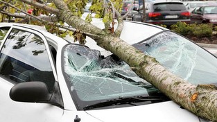 06.05.2021 12:00 Tak to się kończy, gdy ignorujesz ostrzeżenia i wychodzisz z domu podczas porywistego wiatru