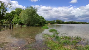 21.05.2021 10:00 Po ulewach Odrą i Wisłą płyną fale wezbraniowe. Popularne plaże i ogródki działkowe są zalane